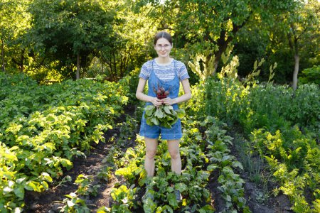 Téléchargez les photos : Jeune femme récolte des betteraves rouges fraîches qu'elle a cultivées dans sa ferme - en image libre de droit