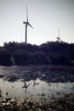 Téléchargez les photos : Des éoliennes pour la production d'énergie électrique renouvelable près d'un petit lac - en image libre de droit