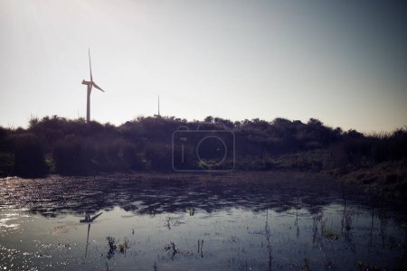 Téléchargez les photos : Wind turbine generators for electric energy production - en image libre de droit