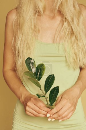 Téléchargez les photos : Blonde womanand natural make-up holding leaves, closeup hands - en image libre de droit