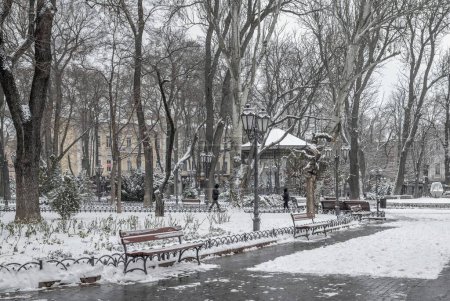 Foto de Odessa, Ukraine 29.01.2023. Gloomy winter day on the city garden in Odessa, Ukraine - Imagen libre de derechos