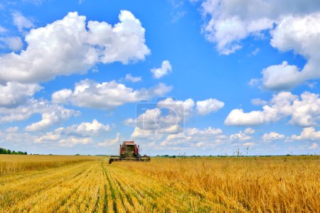 Photo for Harvesting grain crops with a combine - Royalty Free Image