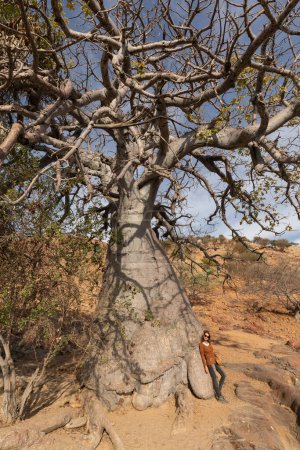 Téléchargez les photos : Femme contre un baobab à Epupa, Kunene, Namibie - en image libre de droit