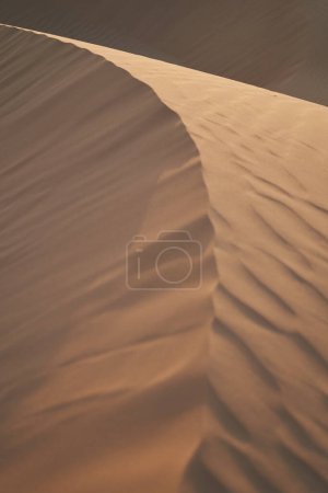 Photo for Minimalistic frame with sand dune pattern in the desert. - Royalty Free Image