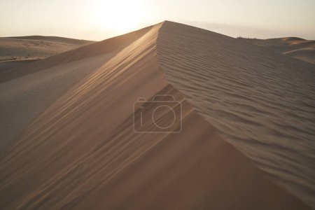 Téléchargez les photos : Landscape with desert dune and setting sun. - en image libre de droit