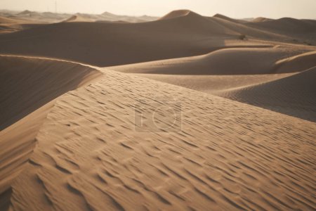 Téléchargez les photos : Beautiful landscape with sand dunes and sunset. - en image libre de droit