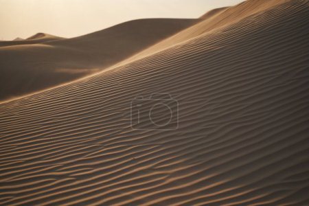 Photo for Minimalistic landscape with sand patterns, dunes and the setting sun. - Royalty Free Image