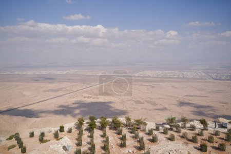 Photo for Desert landscape with growing young trees. - Royalty Free Image