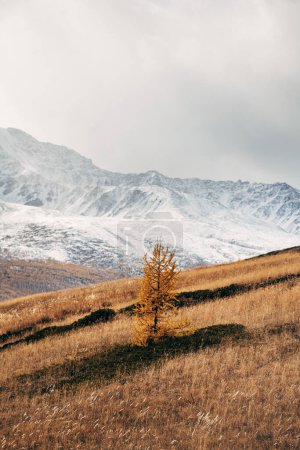 Téléchargez les photos : Sommets enneigés de la chaîne de montagnes de l'Altaï - en image libre de droit