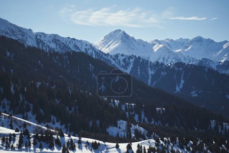 Photo for Mountain landscape with blue sky and forest at noon in winter. - Royalty Free Image