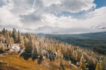 Téléchargez les photos : Vue par drone de la forêt enneigée et des montagnes de l'Altaï - en image libre de droit