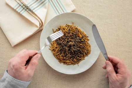 Worms and river shrimps in a plate and hands with a fork and knife.