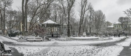 Foto de Odessa, Ukraine 29.01.2023. Gloomy winter day on the city garden in Odessa, Ukraine - Imagen libre de derechos