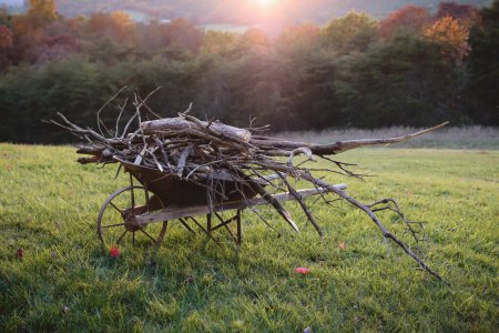 Téléchargez les photos : Wagon with wood sun flare and rolling hills with fall colours - en image libre de droit