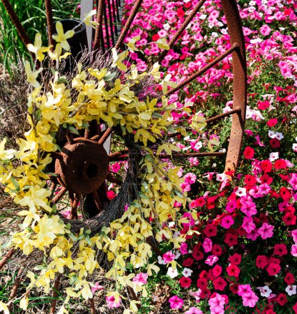 Téléchargez les photos : Wagon Aménagement paysager de roues avec des fleurs - en image libre de droit