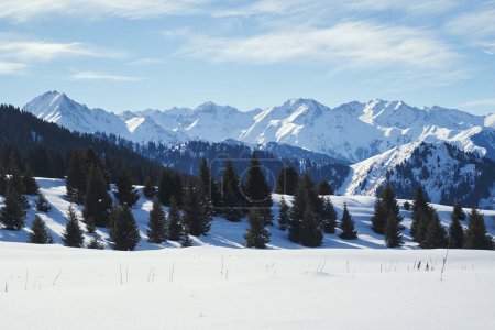 Téléchargez les photos : Classic mountain winter landscape with forest. - en image libre de droit