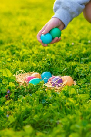 Foto de Tradición de Pascua.Las manos de los niños recogen huevos en un trébol verde - Imagen libre de derechos