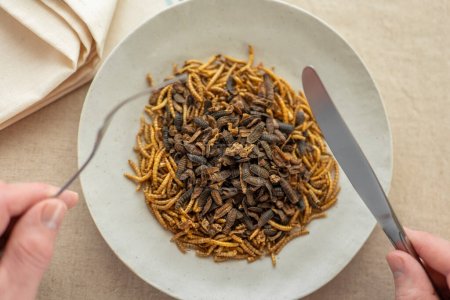 Téléchargez les photos : Nourriture aux insectes vers et crevettes de rivière dans une assiette sur une nappe en lin - en image libre de droit