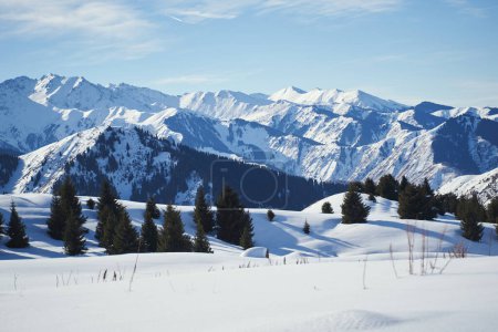 Foto de Paisaje clásico de invierno de montaña con bosque, nieve y cielo azul. - Imagen libre de derechos