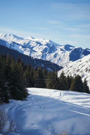Téléchargez les photos : Vertical landscape with a snowy road in the mountains. - en image libre de droit