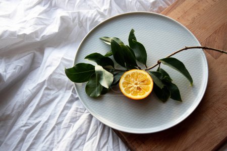 Téléchargez les photos : Branche de citron et d'arbre sur une assiette dans la chambre - en image libre de droit