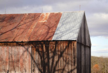 Téléchargez les photos : Grange en détresse avec toit en étain rouillé et ombre d'arbre à l'automne - en image libre de droit