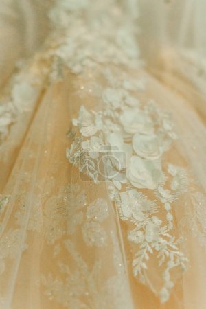 Téléchargez les photos : Détail de robe de mariée avec une pêche sous la couleur - en image libre de droit