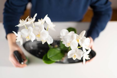 Foto de La pulverización de orquídeas de una botella de aerosol. - Imagen libre de derechos