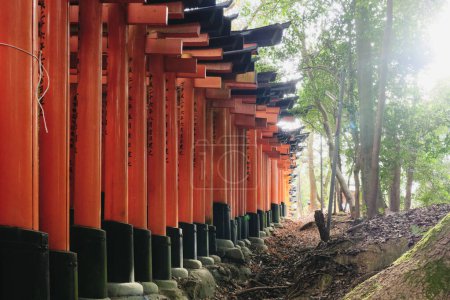 Téléchargez les photos : Un plan d'un chemin de portes torii au sanctuaire Fushimi Inari à Kyoto, Japon - en image libre de droit