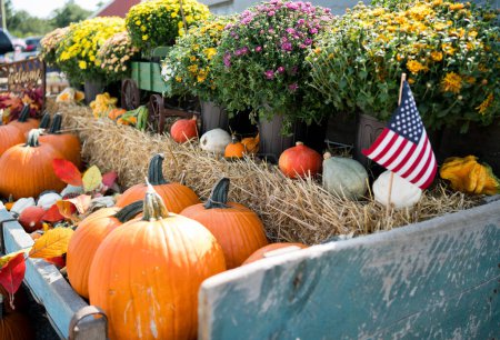 Photo for Fall wagon full of pumpkins and mums - Royalty Free Image
