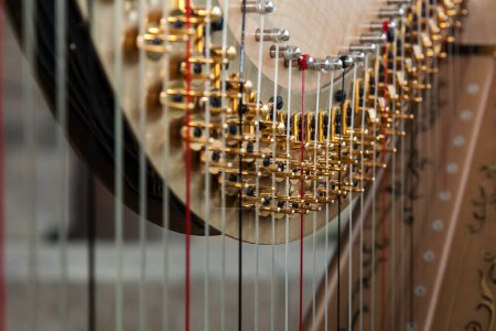 Téléchargez les photos : Close up of Harp Details - en image libre de droit