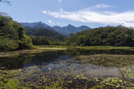 Foto de Hermoso paisaje de montañas de selva atlántica y lago salvaje dentro del estado de Río de Janeiro, Brasil - Imagen libre de derechos