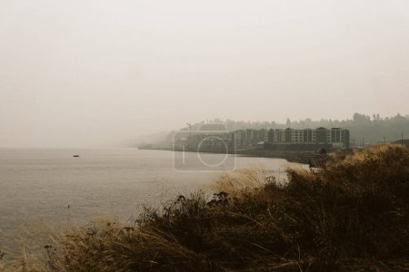Téléchargez les photos : View of Commencement Bay in Tacoma, WA covered in wildfire smoke - en image libre de droit