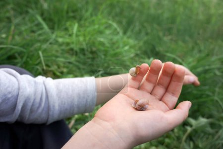 Téléchargez les photos : Deux escargots dans les mains de l'enfant à l'extérieur gros plan - en image libre de droit