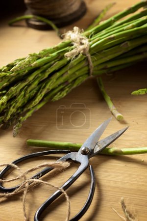 Foto de Bunch of wild asparagus, tied with a string, on a bamboo table - Imagen libre de derechos
