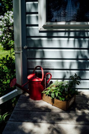 Téléchargez les photos : Arrosoir rouge et plante dans une boîte en carton sur le porche - en image libre de droit