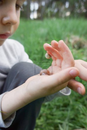 Foto de Dos caracoles en la mano del niño al aire libre de cerca - Imagen libre de derechos