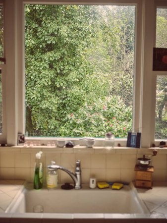 Foto de En frente de un fregadero de cocina mirando por una ventana a los árboles y la naturaleza - Imagen libre de derechos