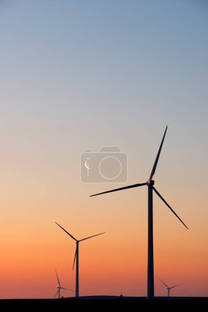 Téléchargez les photos : Silhouettes d'un groupe d'éoliennes au lever du soleil. - en image libre de droit