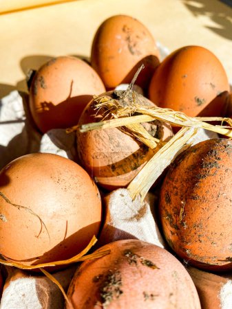 Foto de Huevos de pollo de granja sucios en una bandeja - Imagen libre de derechos