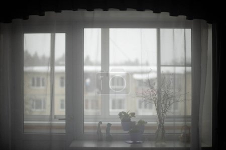 Foto de Curtains houses. Transparent curtains on window. Interior details. Light from window. - Imagen libre de derechos