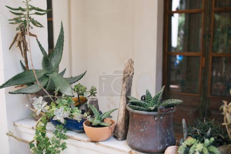 Téléchargez les photos : Potted Cactus Succulent and Plants on White Front Porch in Costa - en image libre de droit