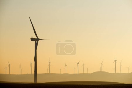 Téléchargez les photos : Silhouettes d'un groupe d'éoliennes au lever du soleil. - en image libre de droit