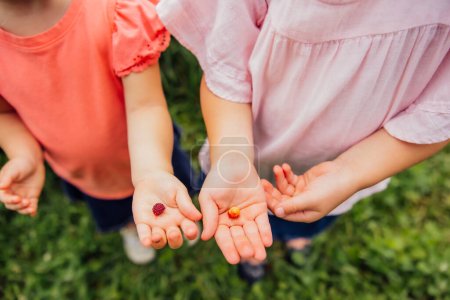 Foto de Kids holding berries in hand - Imagen libre de derechos