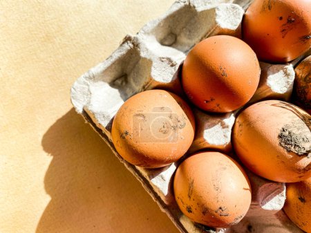 Photo for Farm dirty eggs in a tray - Royalty Free Image
