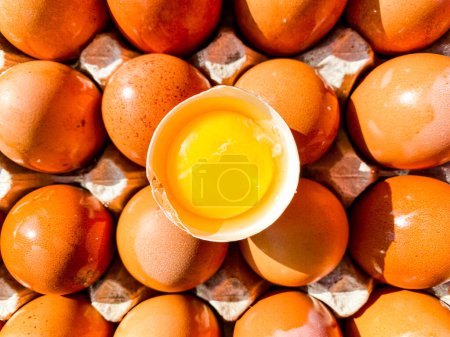 Foto de Medio huevo con yema en una bandeja de huevo - Imagen libre de derechos