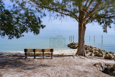 Foto de Bench On Peaceful Beach Overlooking Calm Waters - Imagen libre de derechos