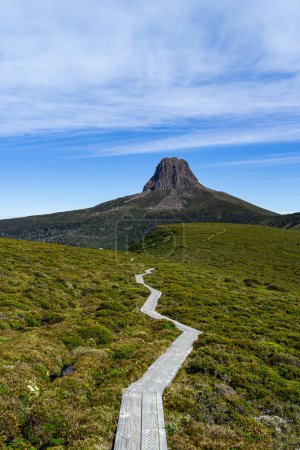 Photo for Cradle Mountain hiking walk path in Tasmania, Australia - Royalty Free Image