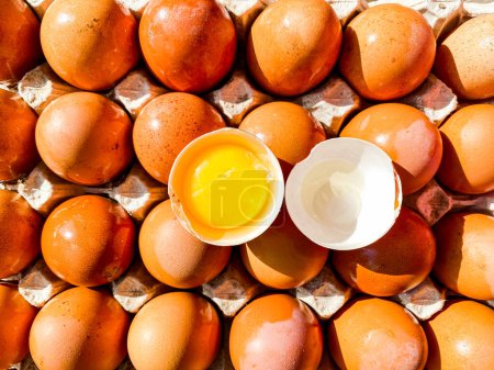 Téléchargez les photos : Un plateau d "œufs de ferme et un œuf cassé sur le dessus - en image libre de droit