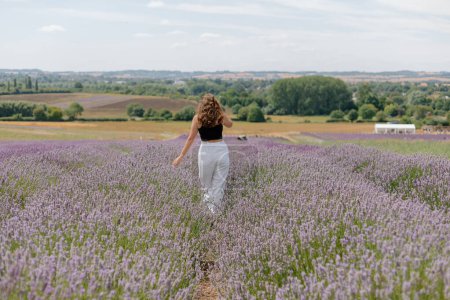 Téléchargez les photos : Runing through the fields of an English lavender field - en image libre de droit